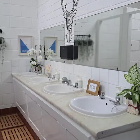 Apartman The Nest Number 3 *